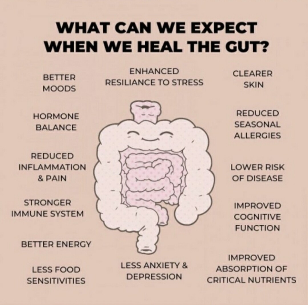 Gut Health: Why It Matters and How To Improve It