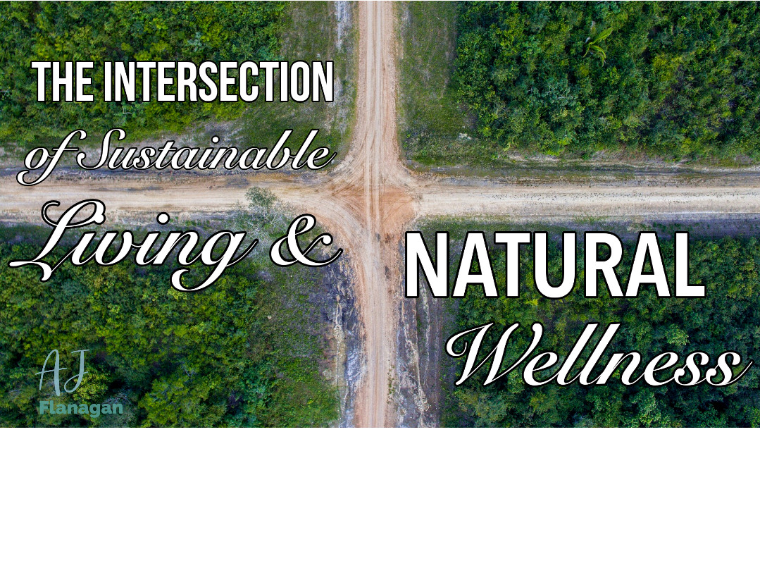 Intersection of Sustainable Living & Natural Wellness: A Holistic Approach to Enhancing Well-being 