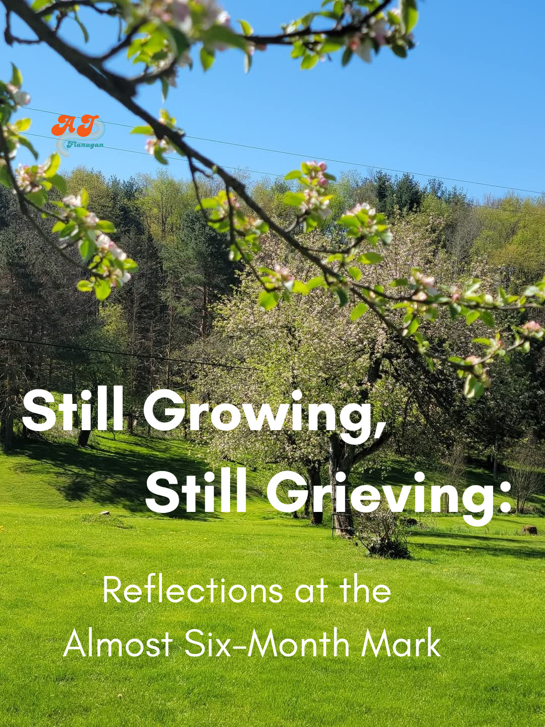Still Growing, Still Grieving: Reflections at the Almost Six-Month Mark