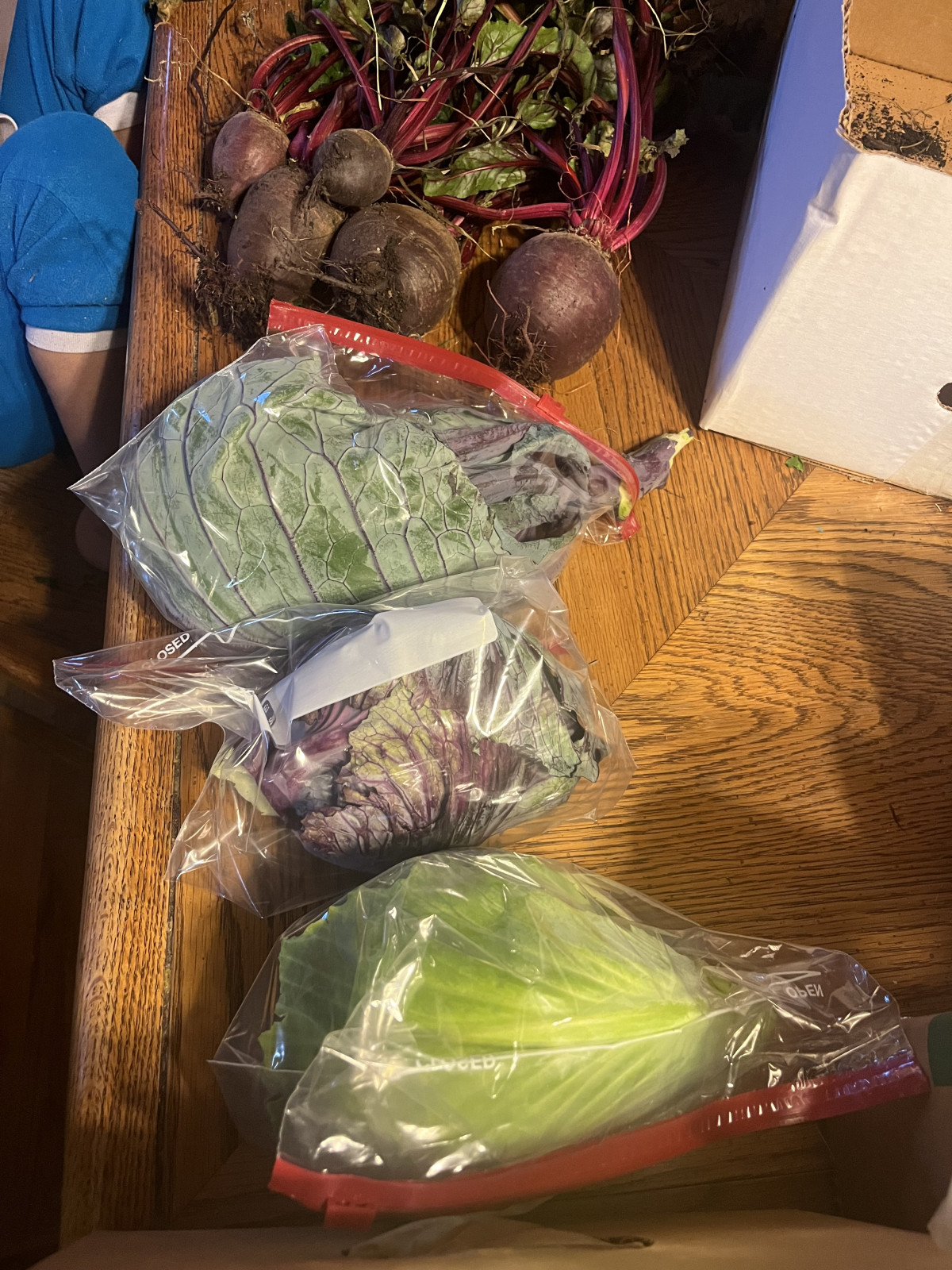 Do The Gut Work - Day 1