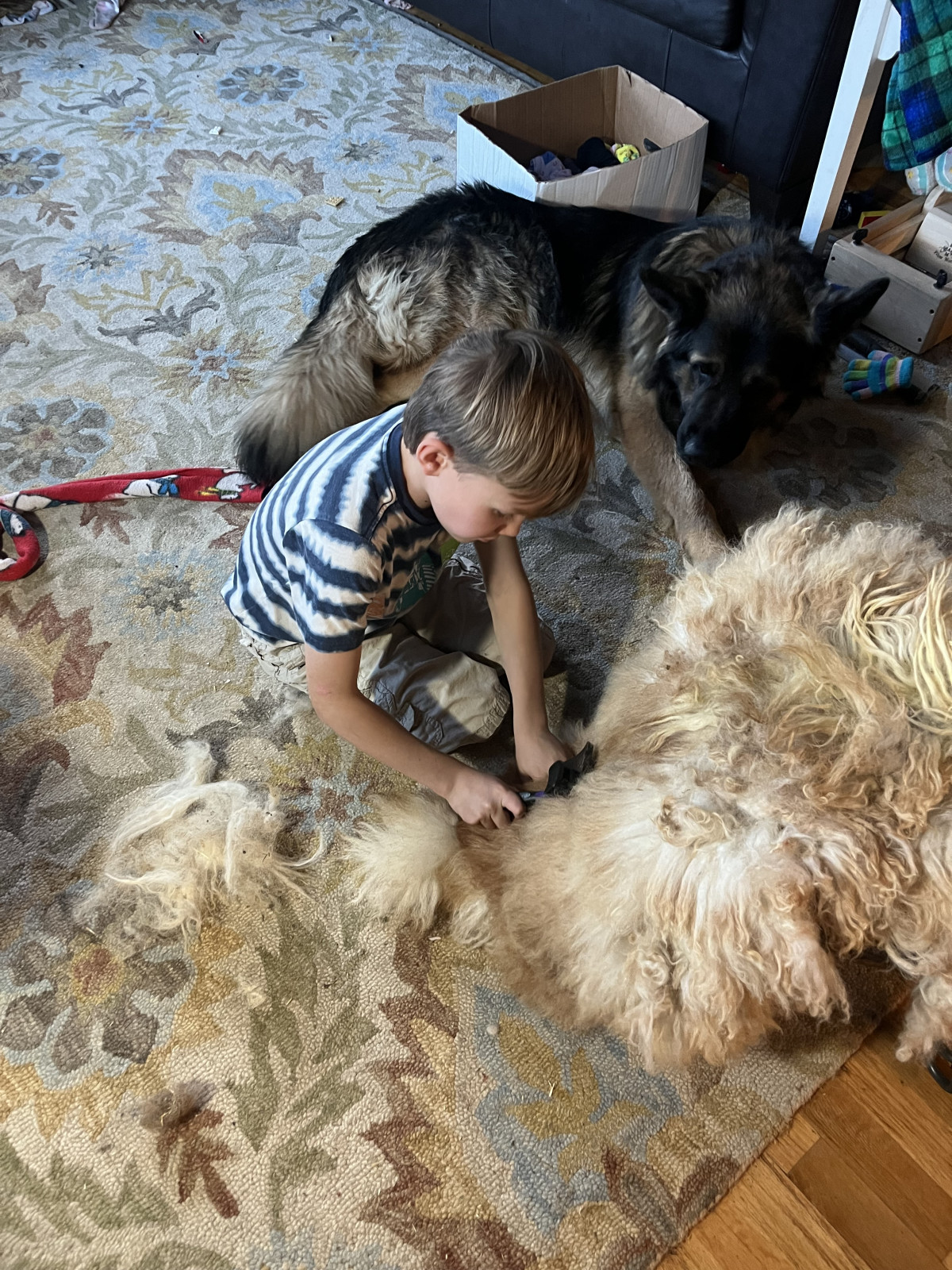 Do The Gut Work - Day 4