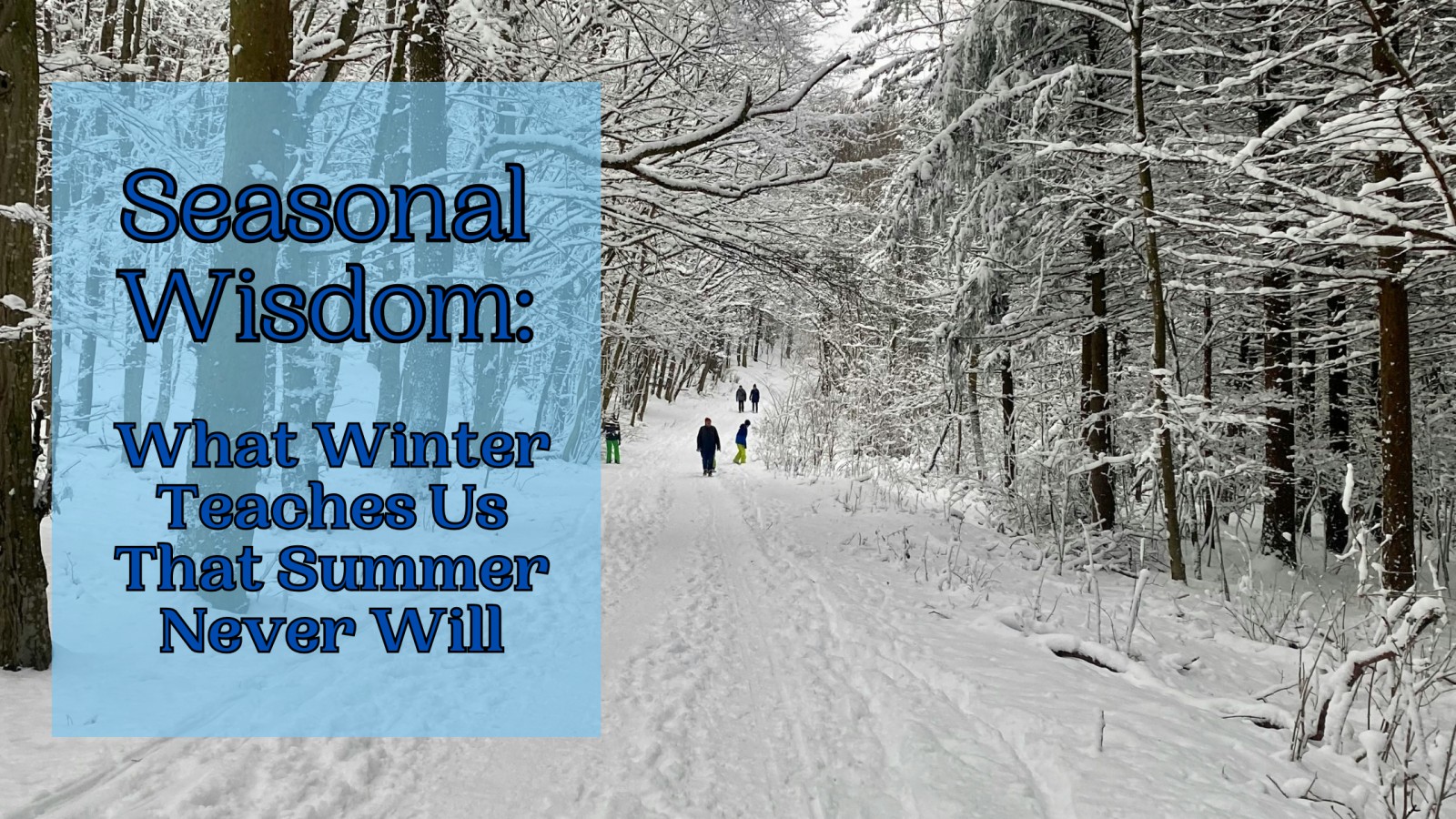 Seasonal Wisdom:  What Winter Teaches Us That Summer Never Will