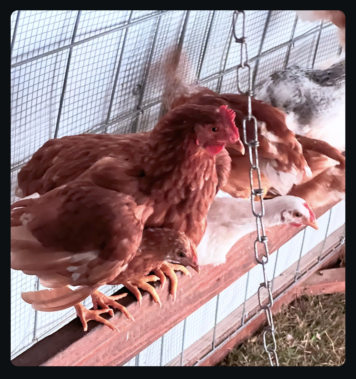 Riding Out the Storms