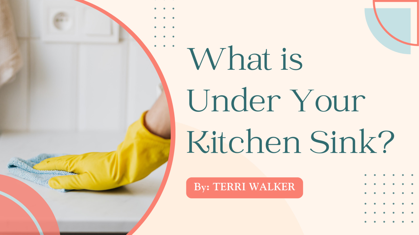 What is Under Your Kitchen Sink?