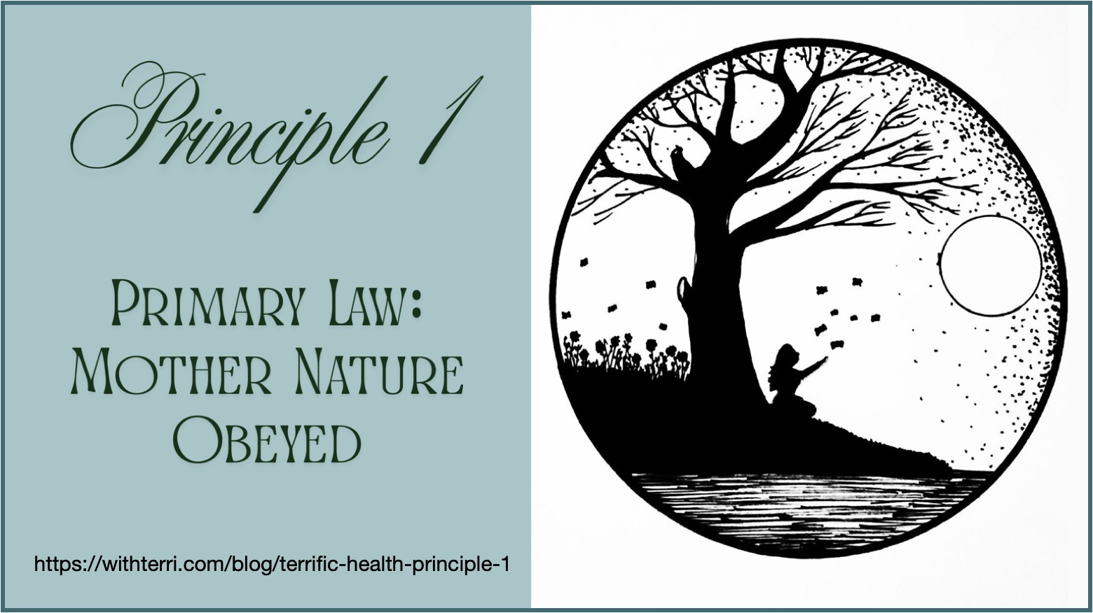 Terrific Health Principle #1 - The Primary Law: Mother Nature Obeyed