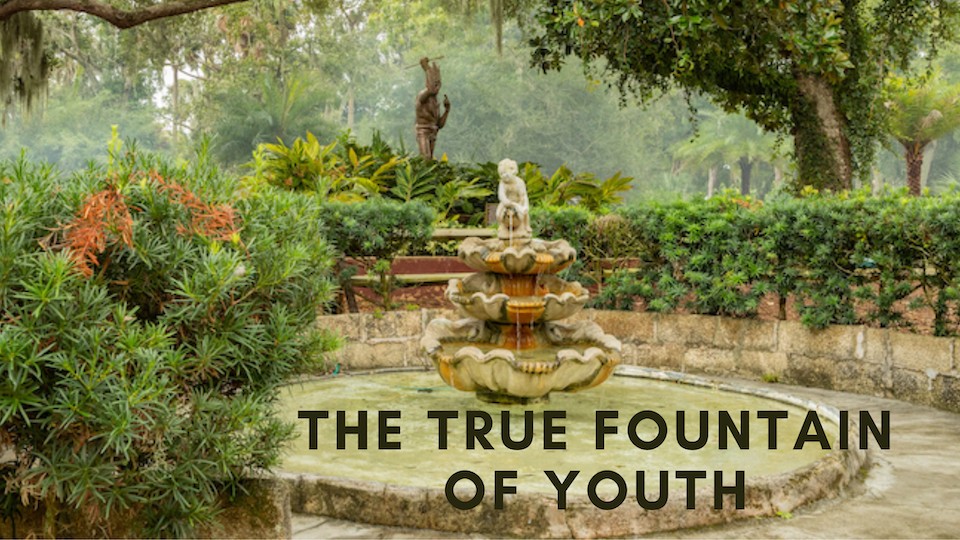 The True Fountain of Youth: Frequency and Mitochondria