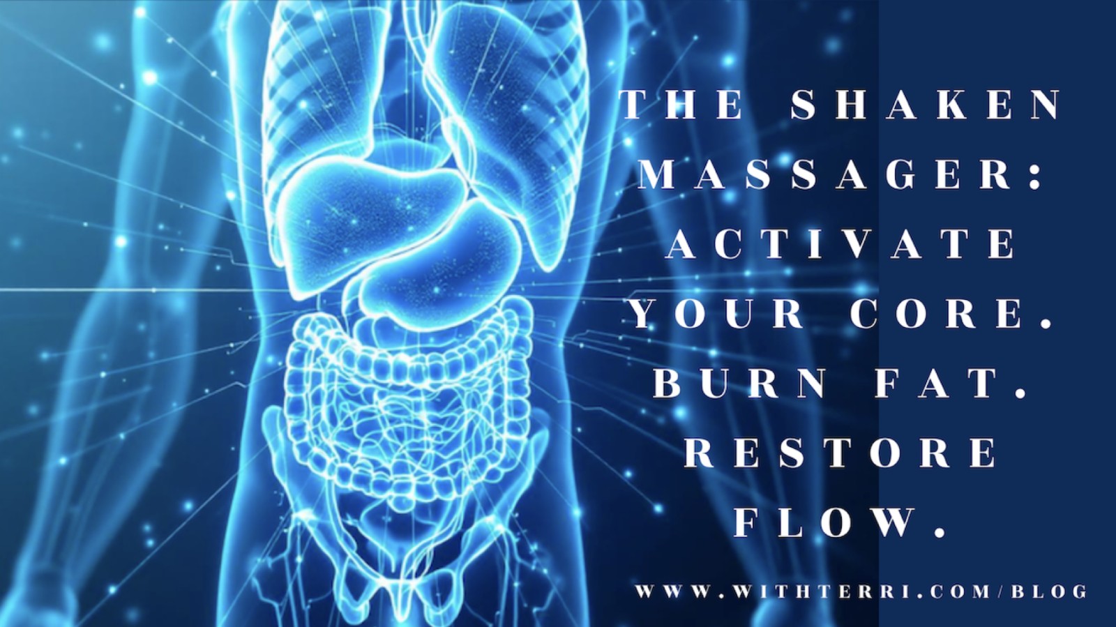 The Shaken Massager: Activate Your Core. Burn Fat. Restore Flow.