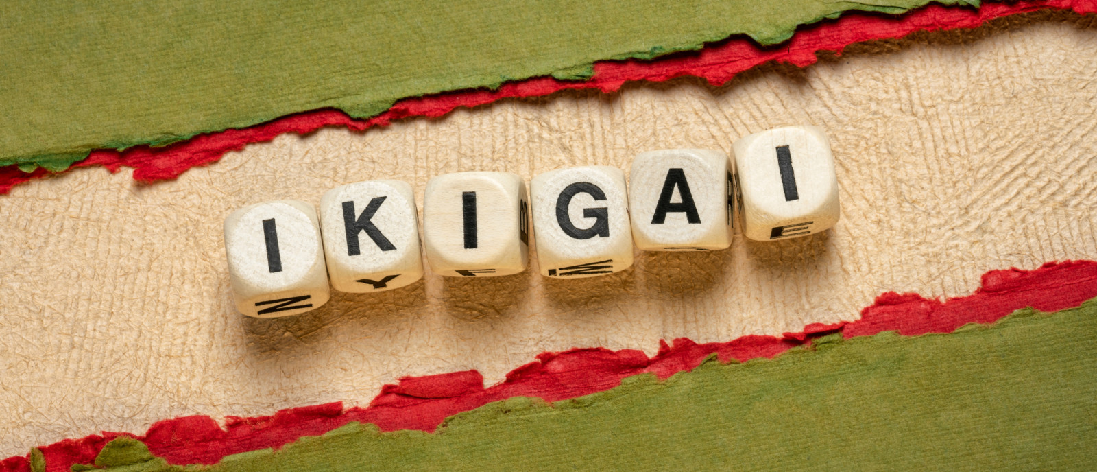 Wat is jouw Ikigai?