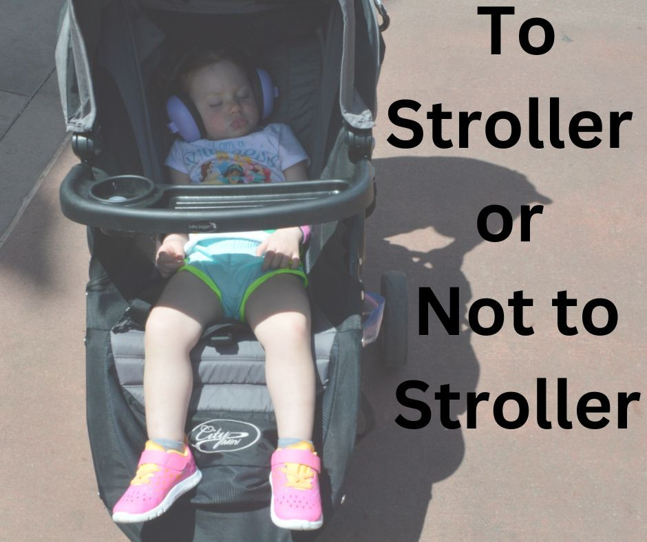 To Stroller Or Not To Stroller...That Is The Question