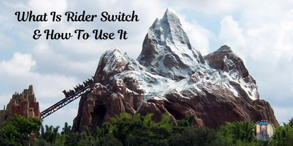 Walt Disney World Rider Switch - How It Works For Families