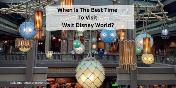 Discovering The Magic: When Is The Best Time To Visit Walt Disney World?