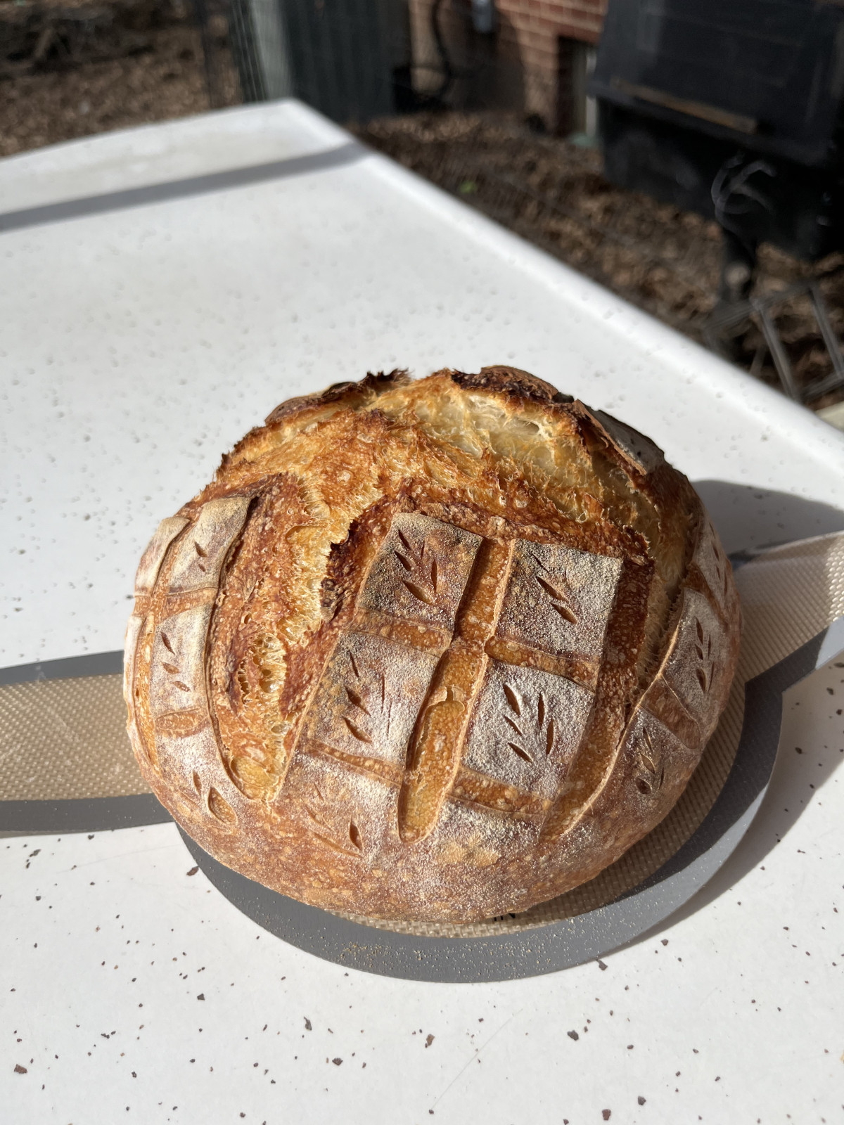 Why Sourdough?