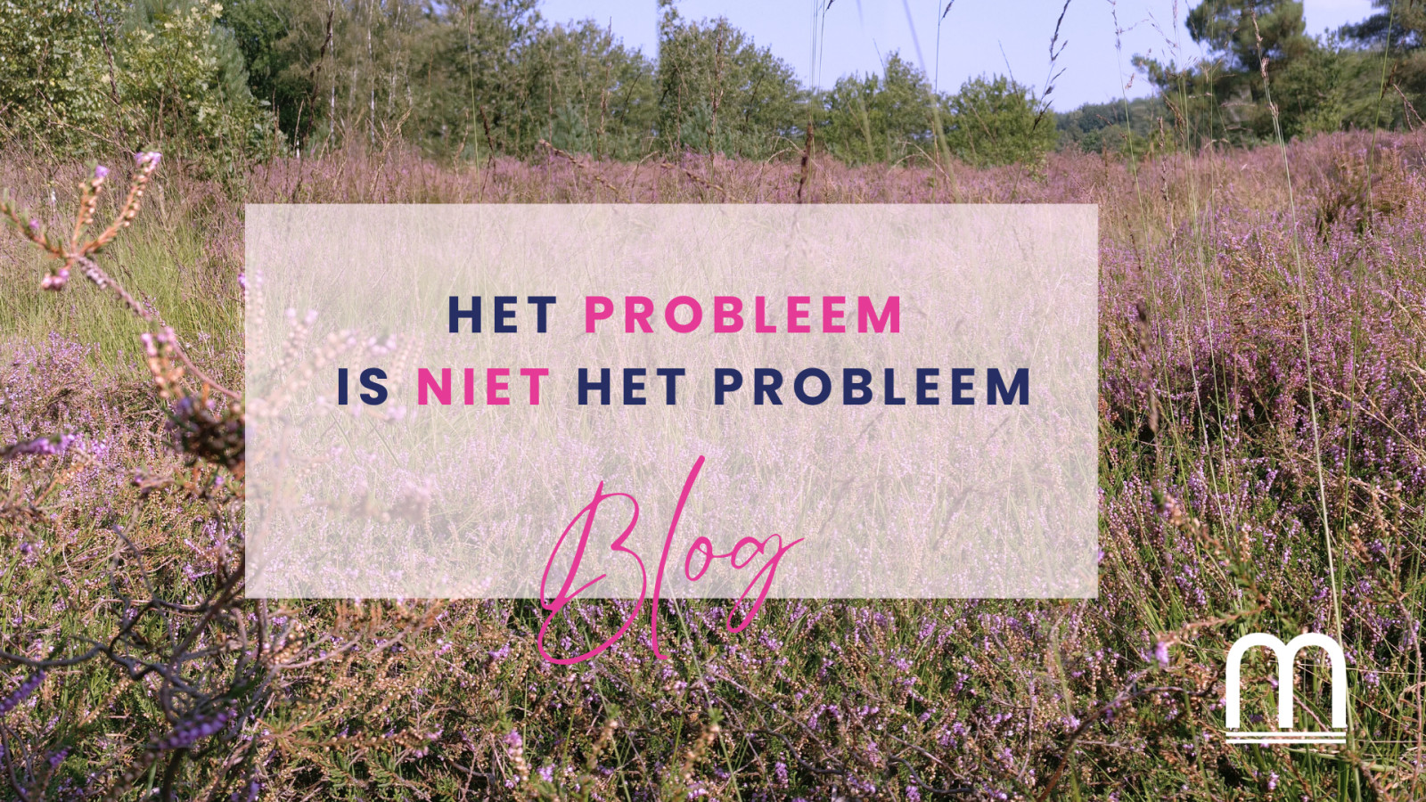 Het Probleem is Niet het Probleem