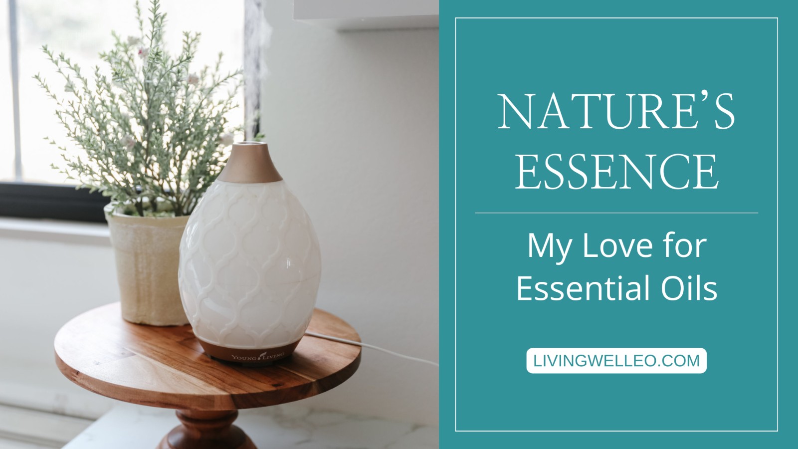 Nature's Essence: My Love of Essential Oils