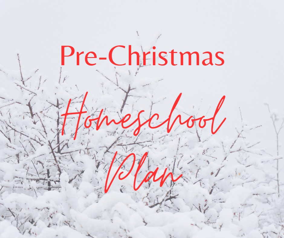 It's December--and Homeschooling is Even Tougher