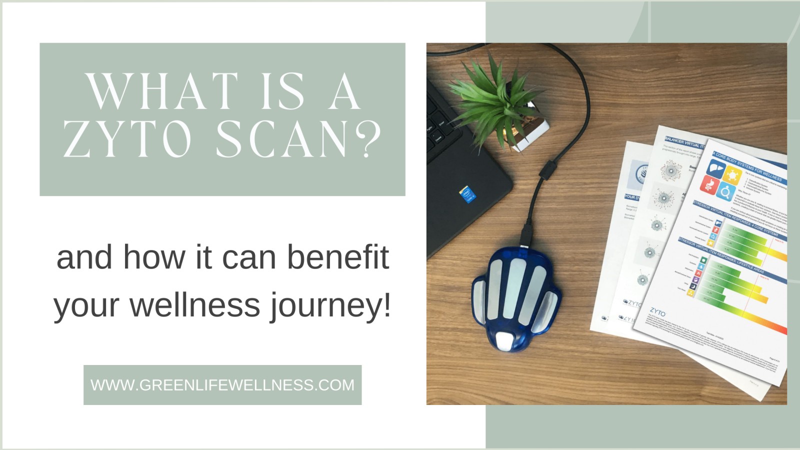 What is a Zyto Scan?