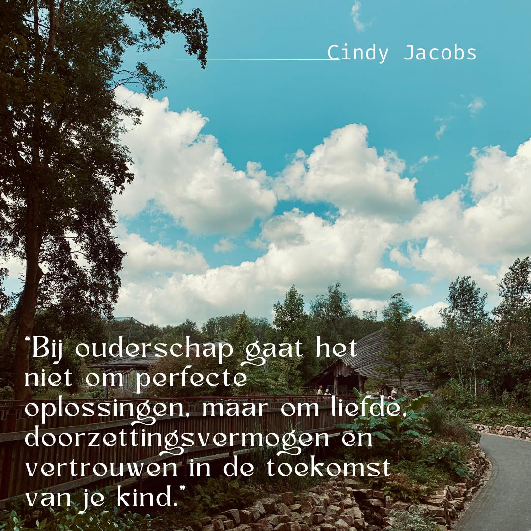 Blog 2-De knoop in mijn maag...