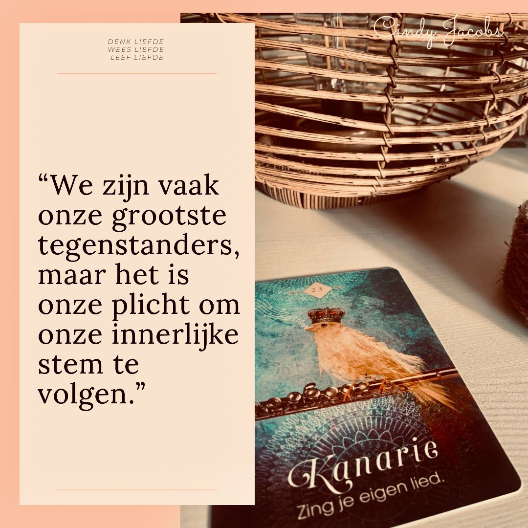 Blog 4- Overwin twijfel: luisteren naar je innerlijke gids.