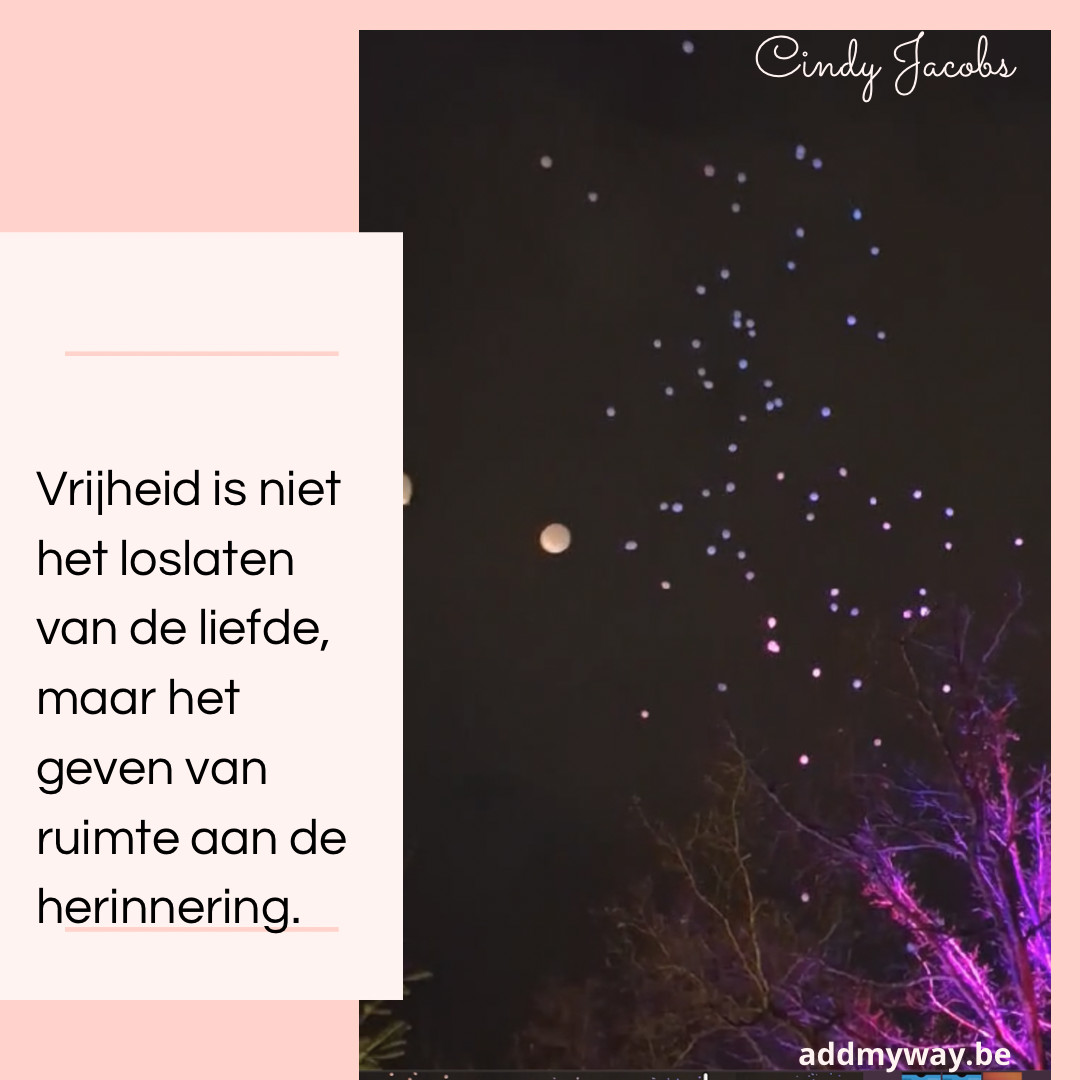 Blog 43 🕯️Een lichtje voor altijd: Wereldlichtjesdag in Hasselt