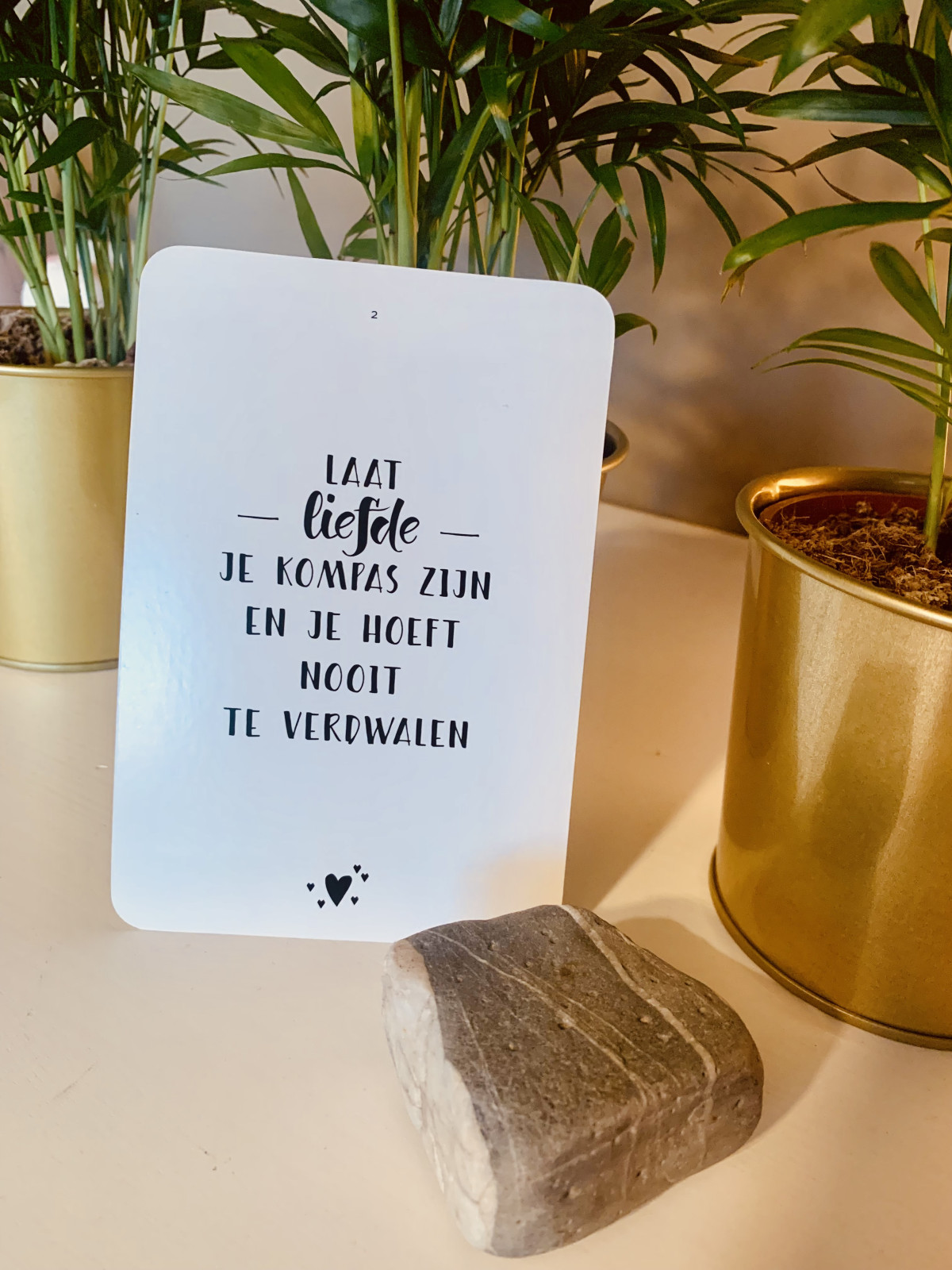 Blog 50✨De Kracht van Verbinding en Licht