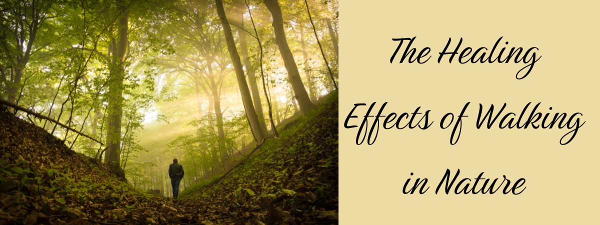 .🌿 The Healing Effects of Walking in Nature: A Pathway to Vibrant Aging