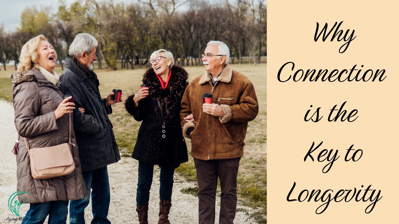 Why Connection is Key to Longevity