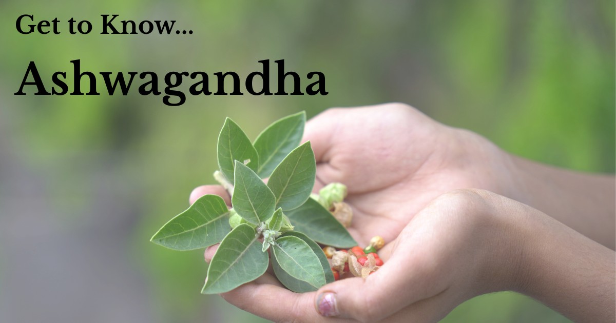 ✨ Feel Good Friday: Get to Know an Herb! ✨