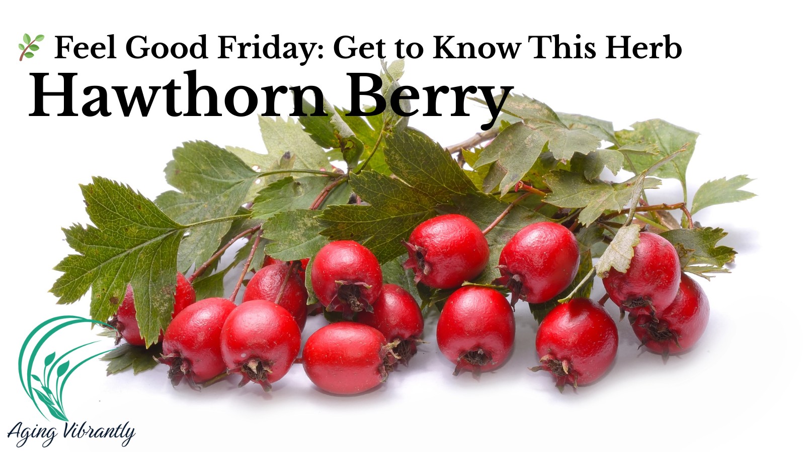 Feel Good Friday: Hawthorn Berry — A Natural Gift for a Stronger, Happier Heart