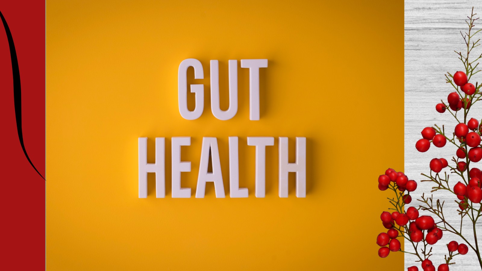 Digestion 101: How Your Gut Actually Works (and 7 Simple Habits to Help It Thrive)