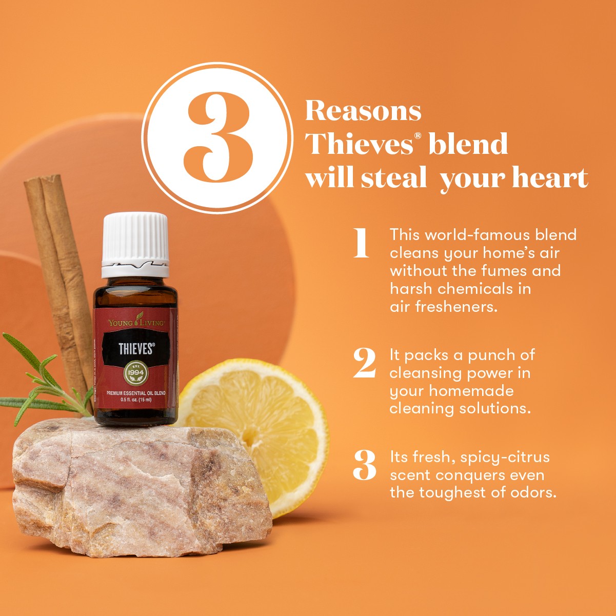 When the Cold Weather Shows Up Uninvited (and the Holidays Bring Backup)