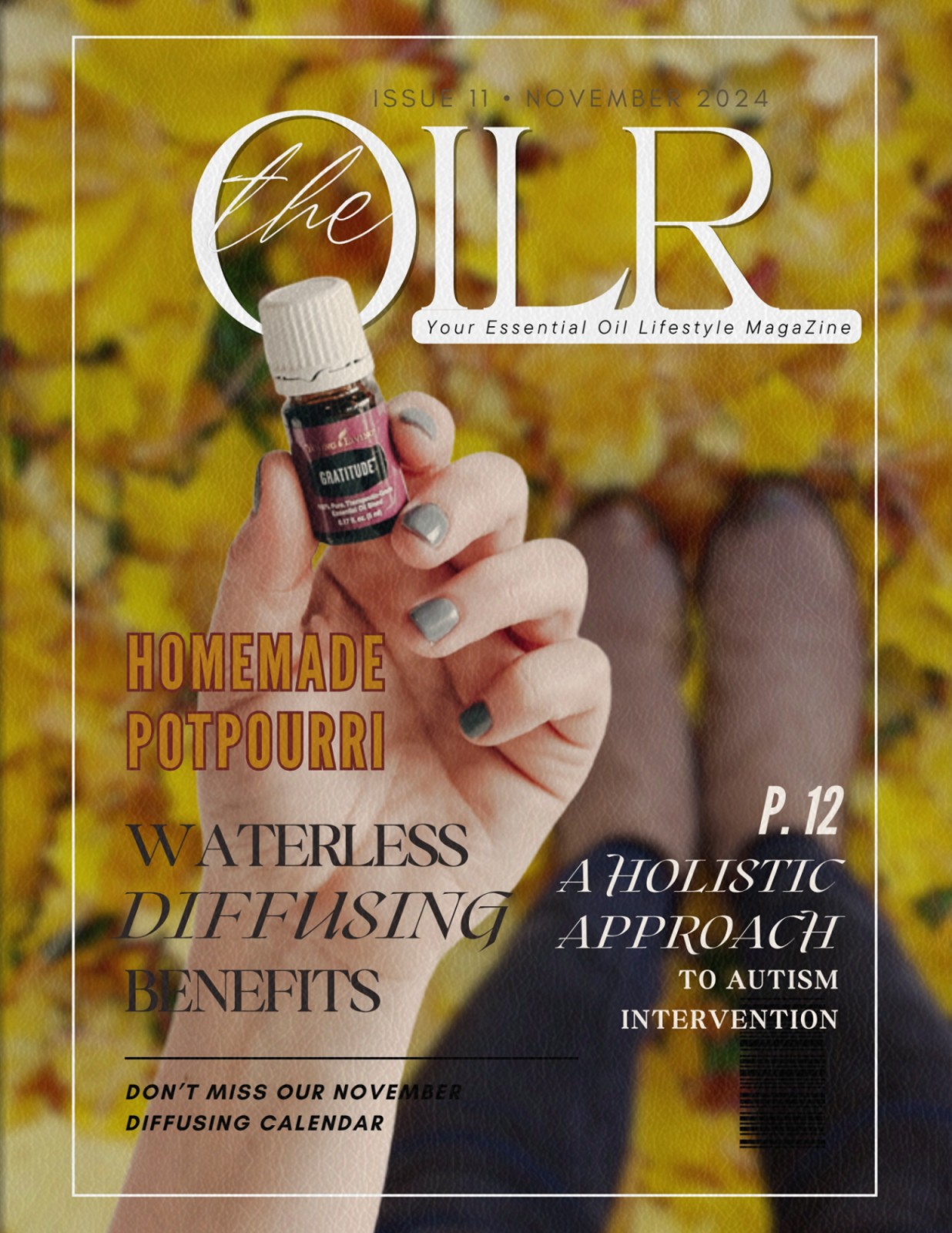 ๐ November 2024 E-Zine: Gratitude, Grounding & Gentle Shifts