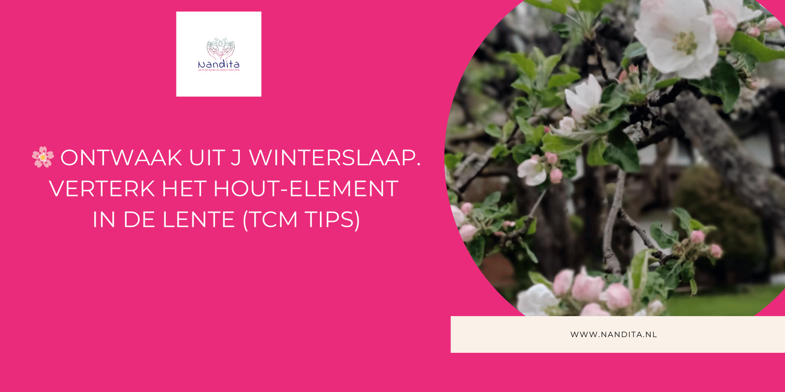 Ontwaak en bloei deze lente: verken het hout-element en je groeipotentieel