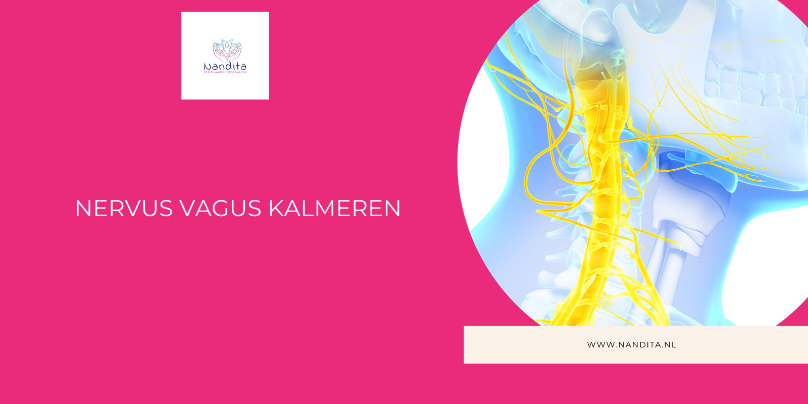 Nervus Vagus kalmeren