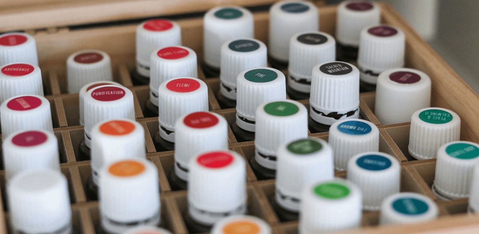 Which Oil Should I Use?