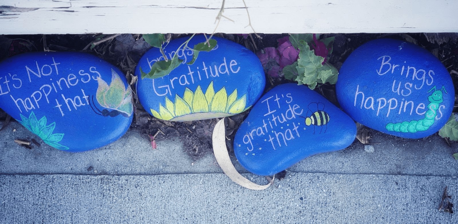 Developing Gratitude for All Around Success