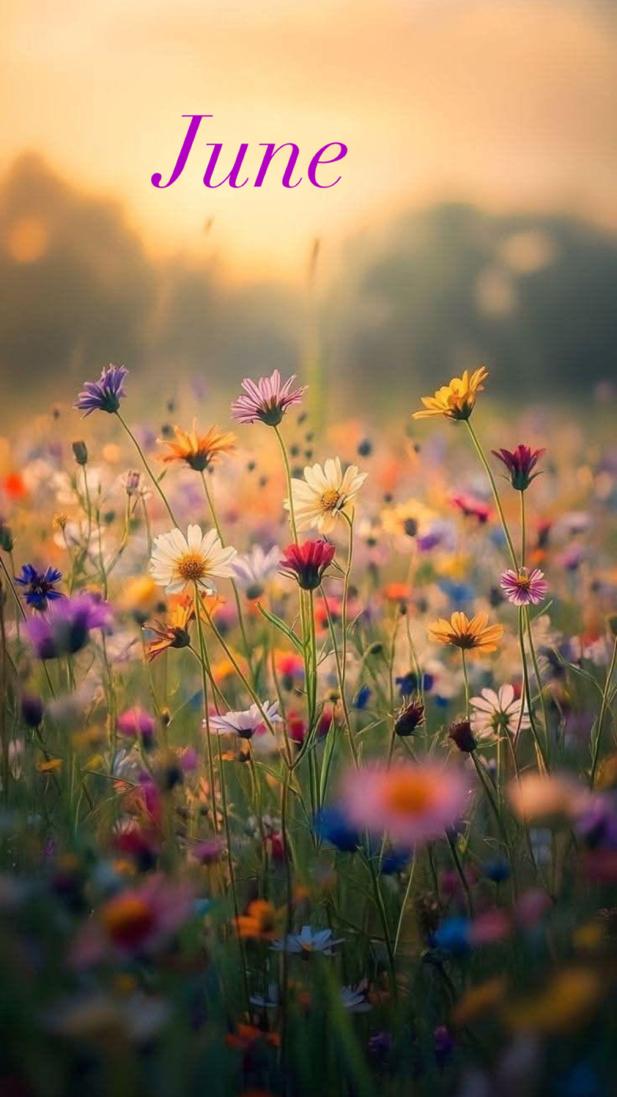 Joyful Movement for June