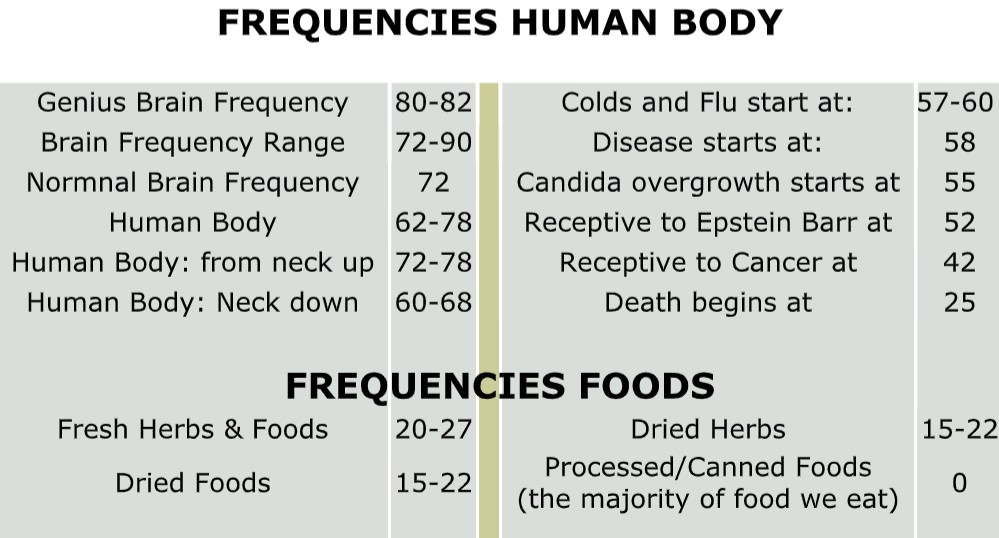 February 2025 - Frequencies and Oils