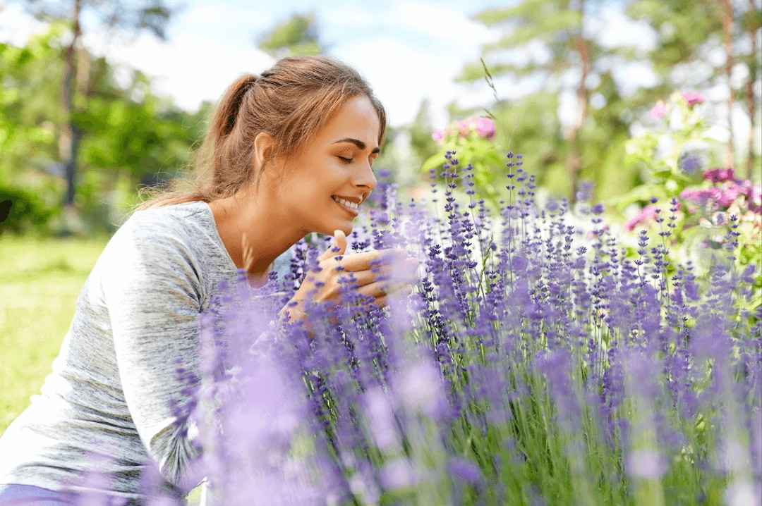 May 2025 - Effect of Smells on the Brain Pt #1