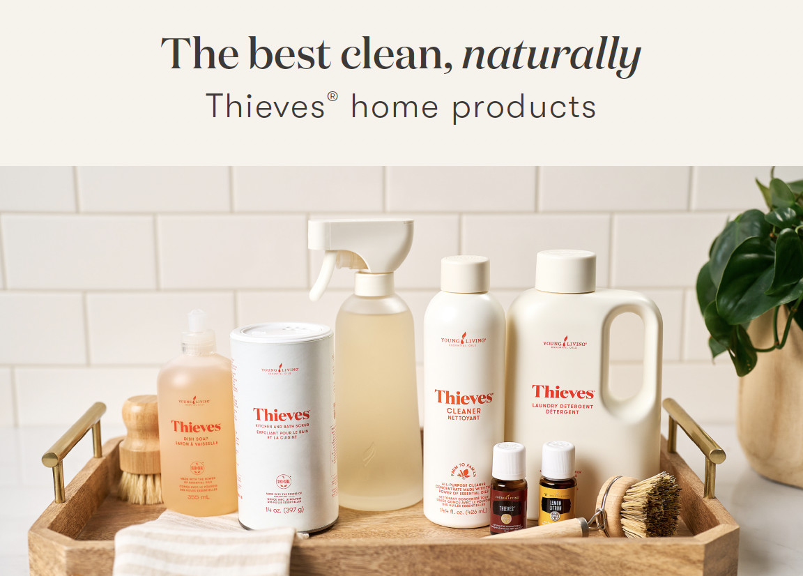 Sparkly clean windows made easy with YL Thieves