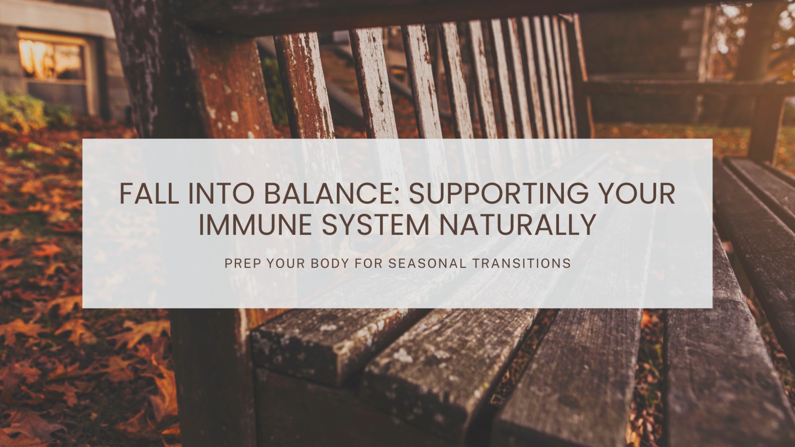 🍂 Fall Into Balance: Supporting Your Immune System Naturally