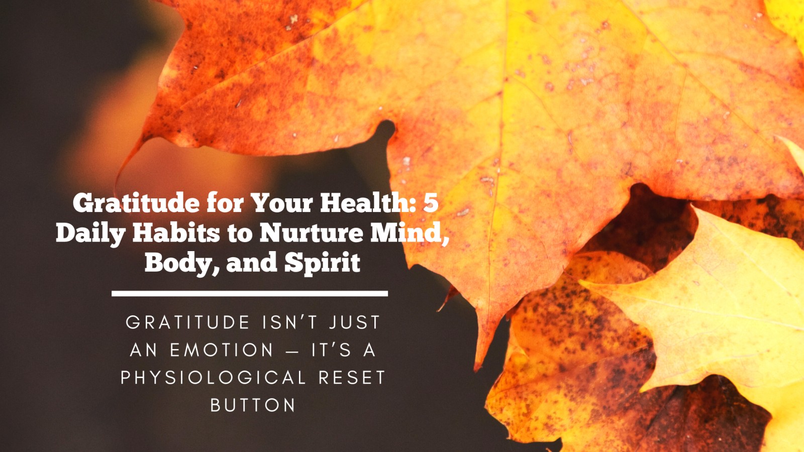 🌿 Gratitude for Your Health: 5 Daily Habits to Nurture Mind, Body, and Spirit