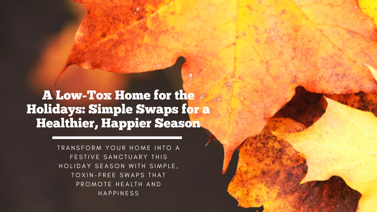 🏡 A Low-Tox Home for the Holidays