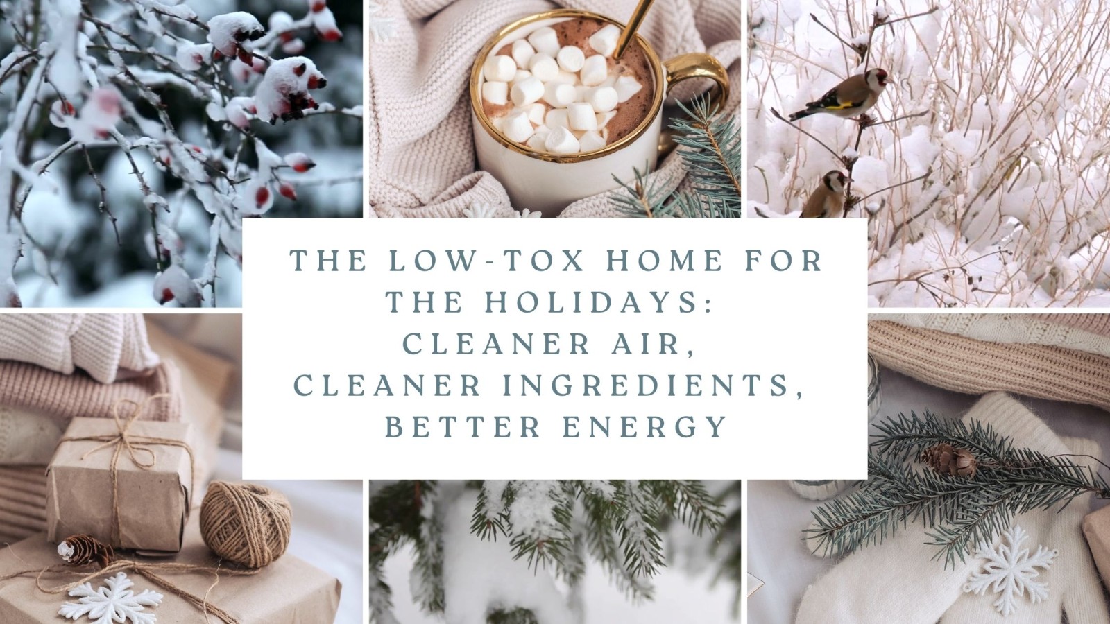 The Low-Tox Home for the Holidays: Cleaner Air, Cleaner Ingredients, Better Energy