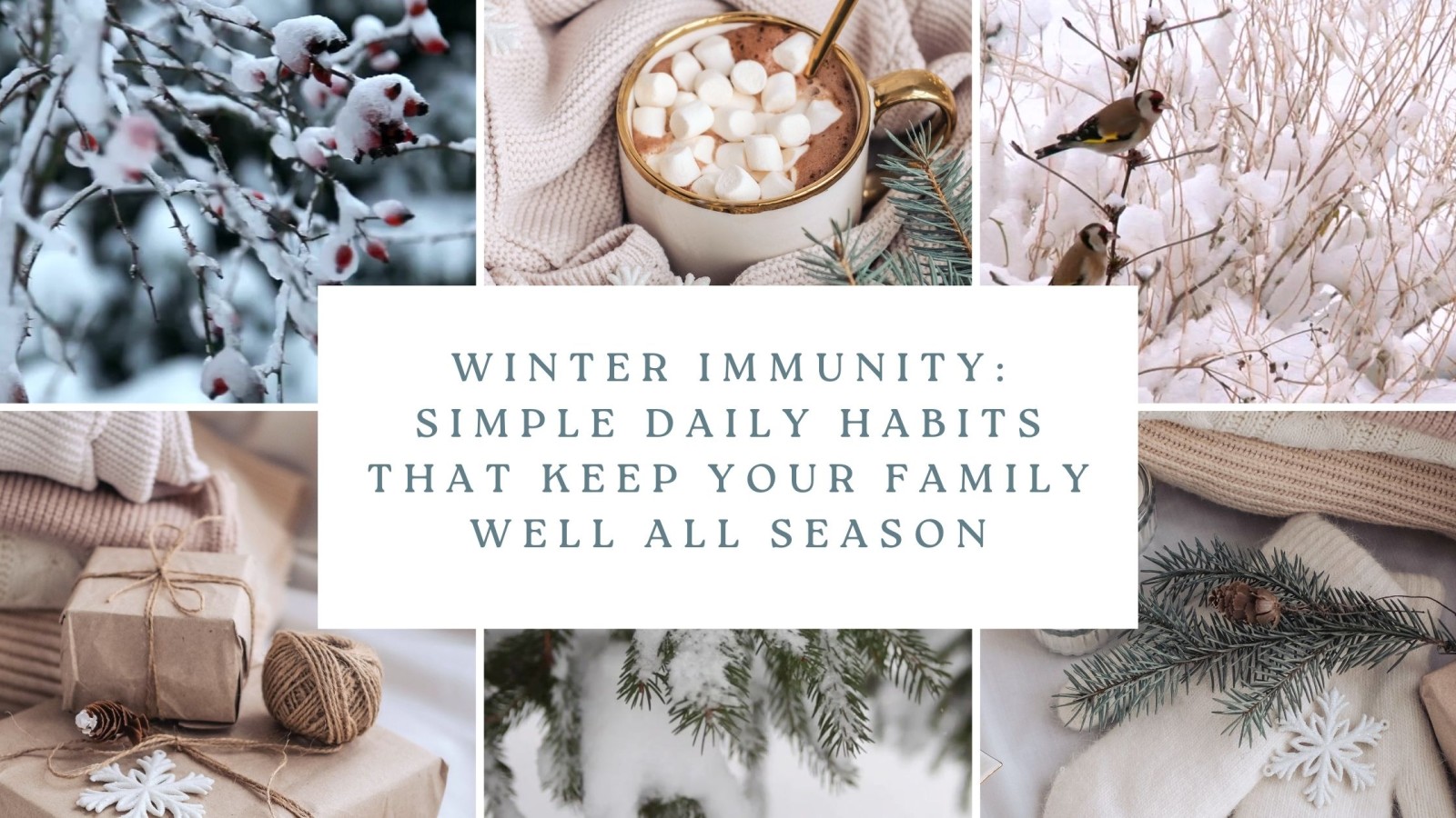 Winter Immunity: Simple Daily Habits That Keep Your Family Well All Season
