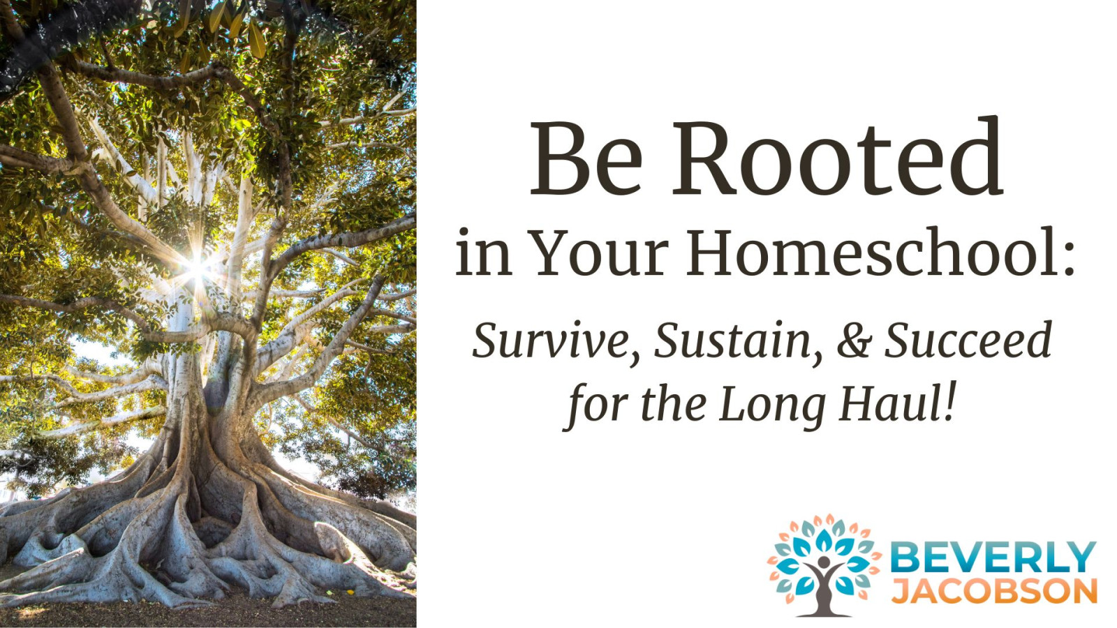 NEW! The BE ROOTED Program
